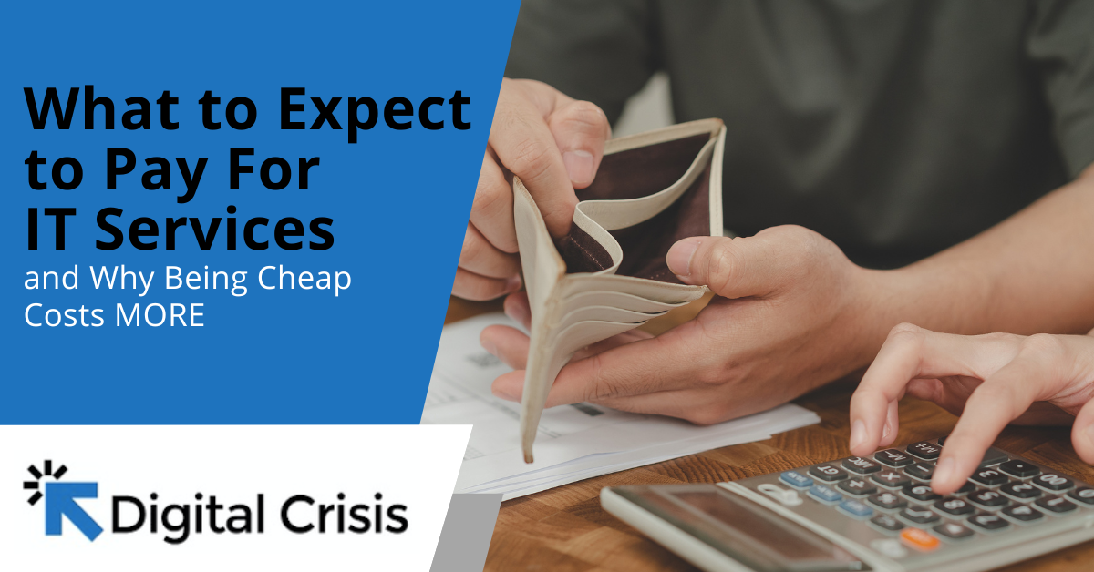 What to Expect to Pay For IT Services and Why Being Cheap Costs MORE